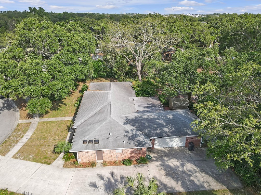 7002 Doreen Street Tampa FL 33617 TB8392216 image57