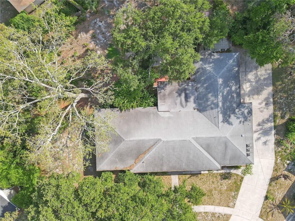 7002 Doreen Street Tampa FL 33617 TB8392216 image58