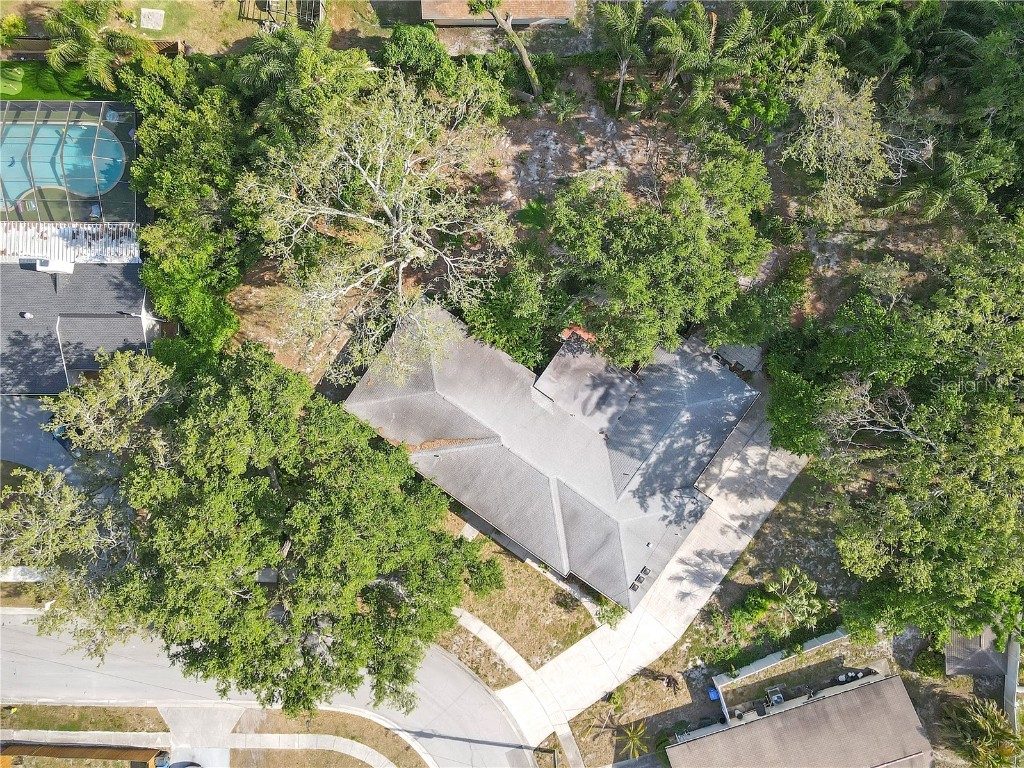 7002 Doreen Street Tampa FL 33617 TB8392216 image59