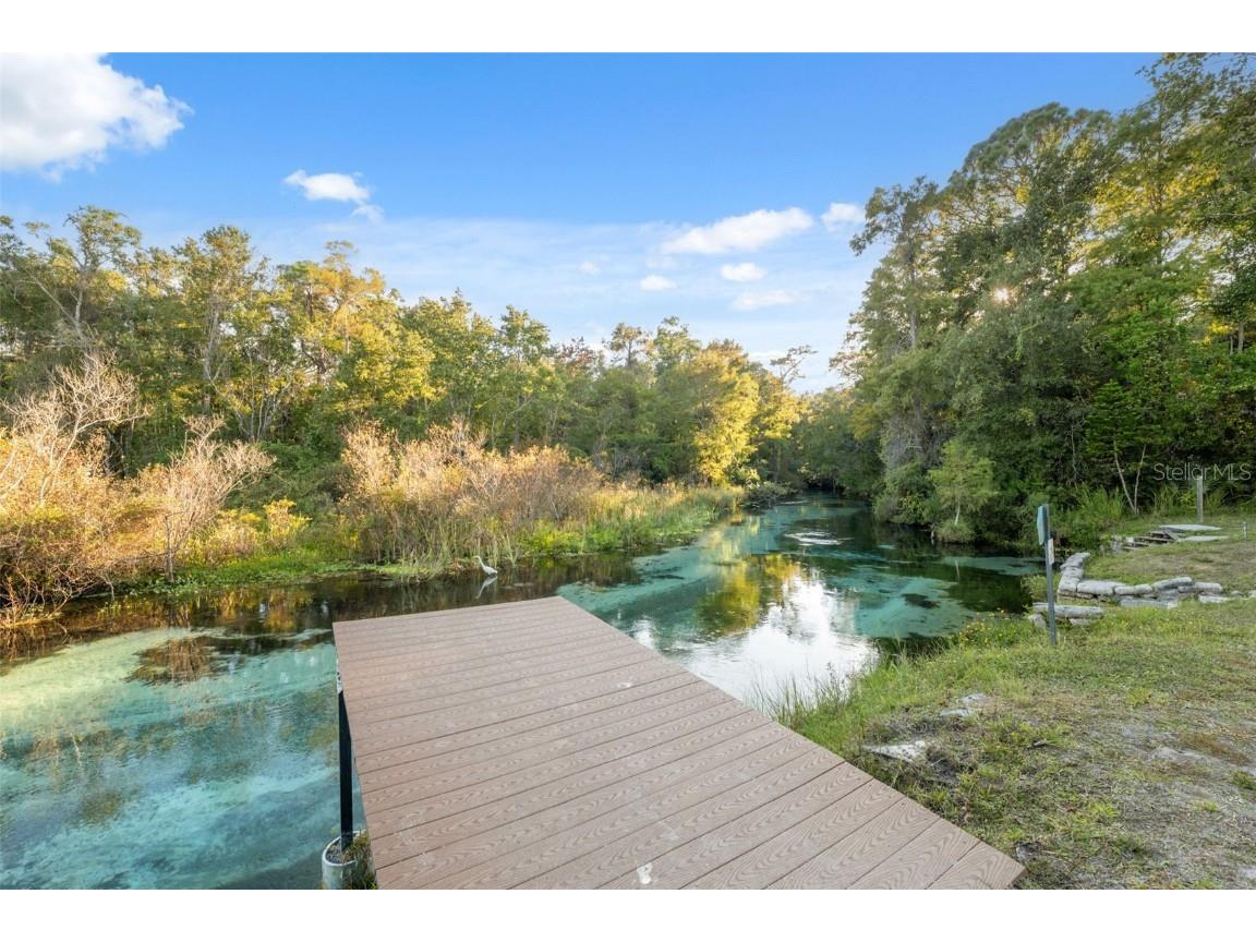 7002 Eisenhower Street Weeki Wachee FL 34613 - WEEKI WACHEE RIVER W7880347 image23