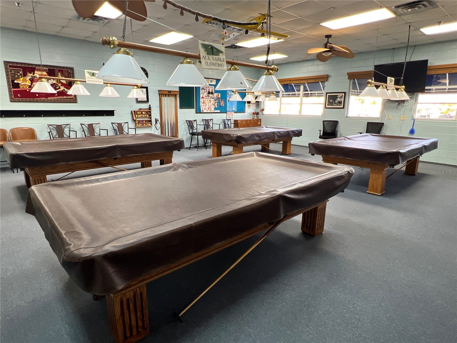 7002 Mount Bristol Boulevard NE #448 Saint Petersburg FL 33702 - TAMPA BAY TB8463900 image24