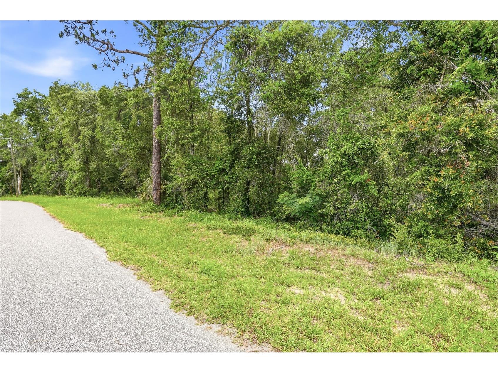 7002 N Castlebury Hernando FL 34442 W7886820 image2
