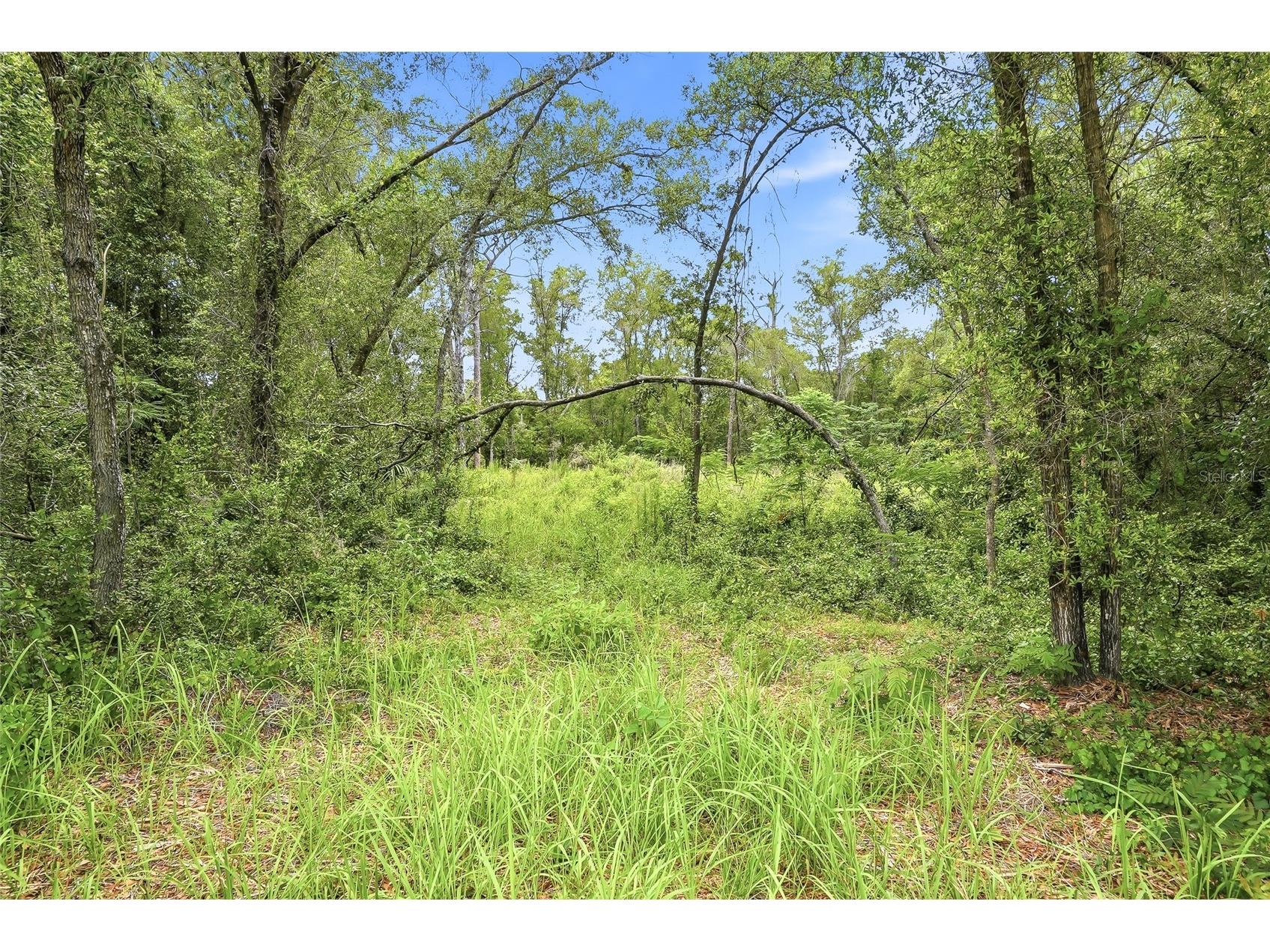 7002 N Castlebury Hernando FL 34442 W7886820 image4