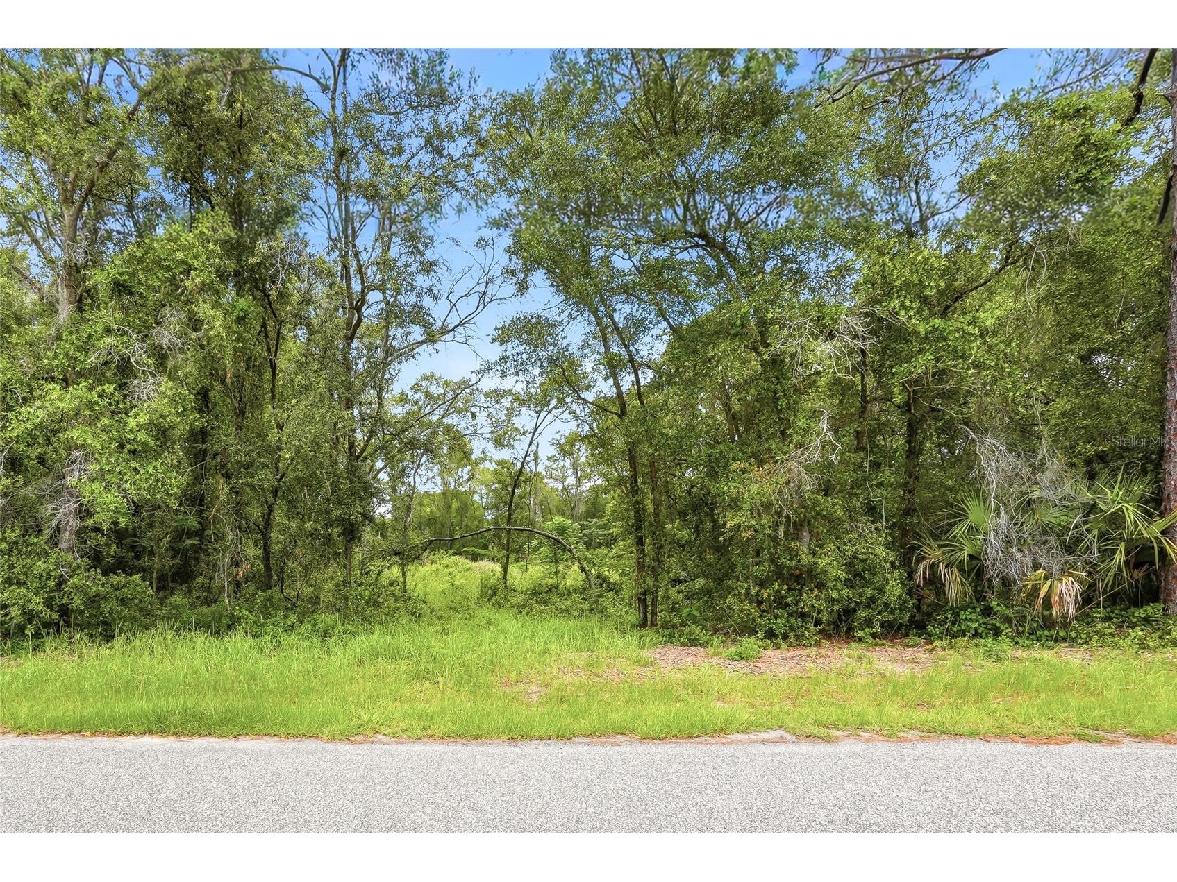7002 N Castlebury Hernando FL 34442 W7886820 image5