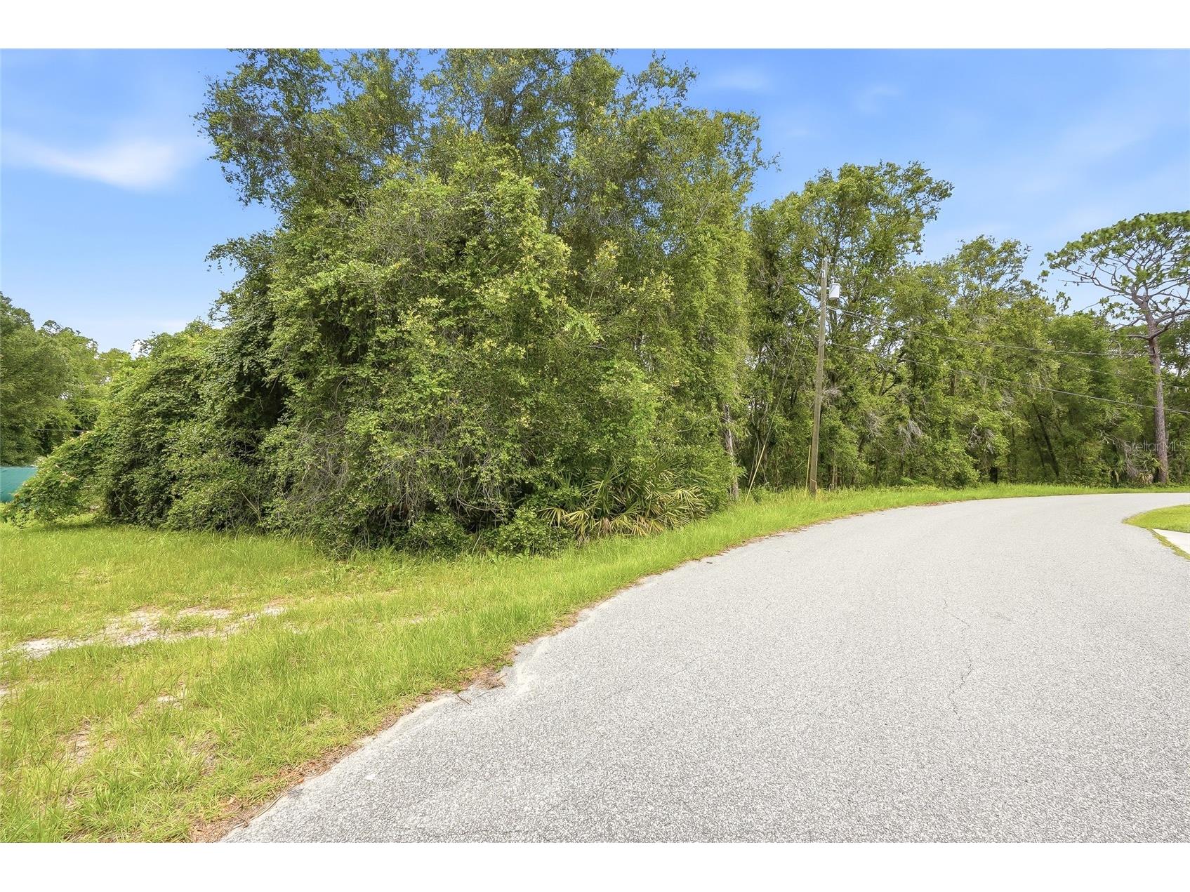 7002 N Castlebury Hernando FL 34442 W7886820 image6