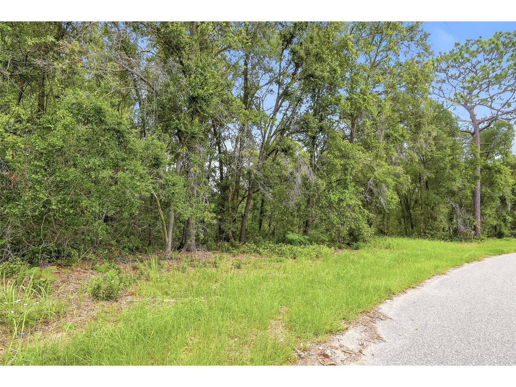 7002 N Castlebury Hernando FL 34442 W7886820 image7