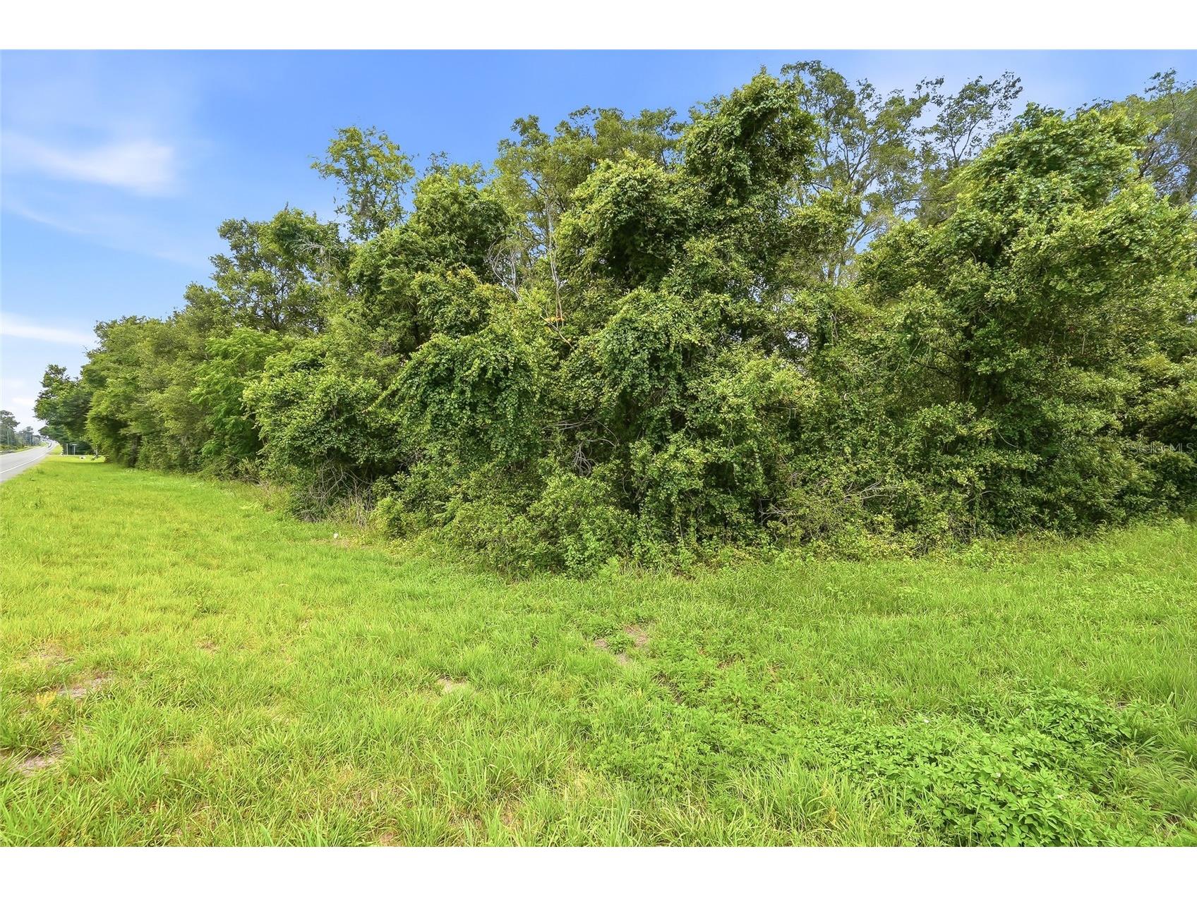 7002 N Castlebury Hernando FL 34442 W7886820 image8