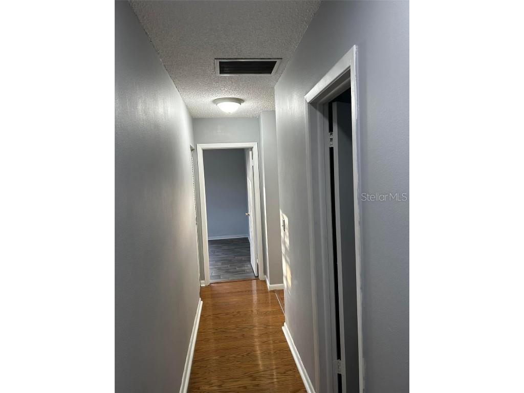 7003 Baywood Court Tampa FL 33615 TB8438761 image22