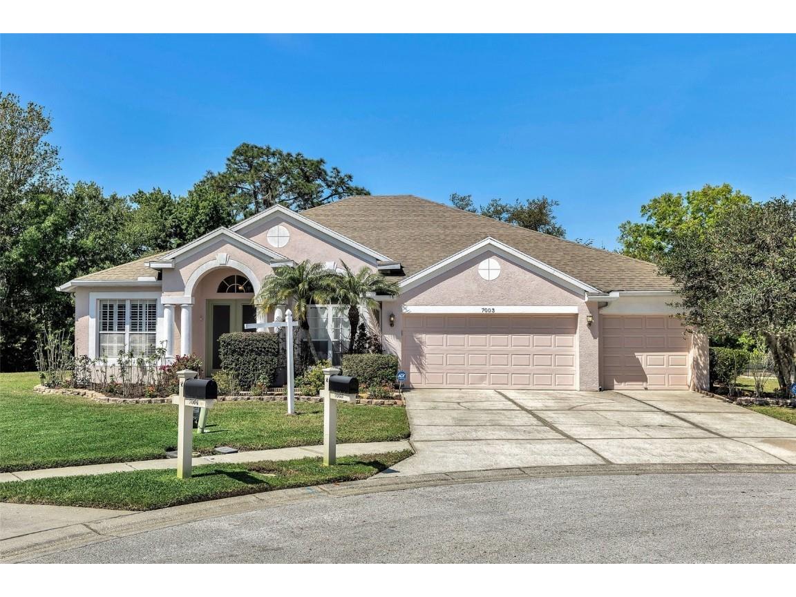 7003 Palmetto Pines Lane Land O Lakes FL 34637 T3528659 image1