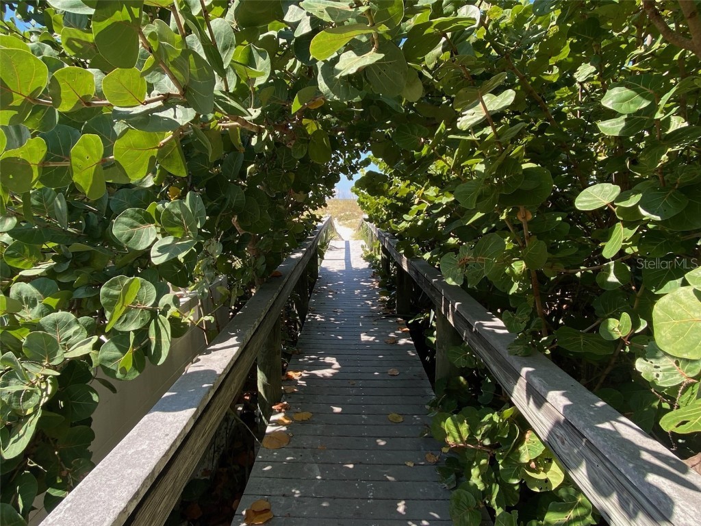 7003 Sunset Way #1 Saint Pete Beach FL 33706 TB8420095 image47