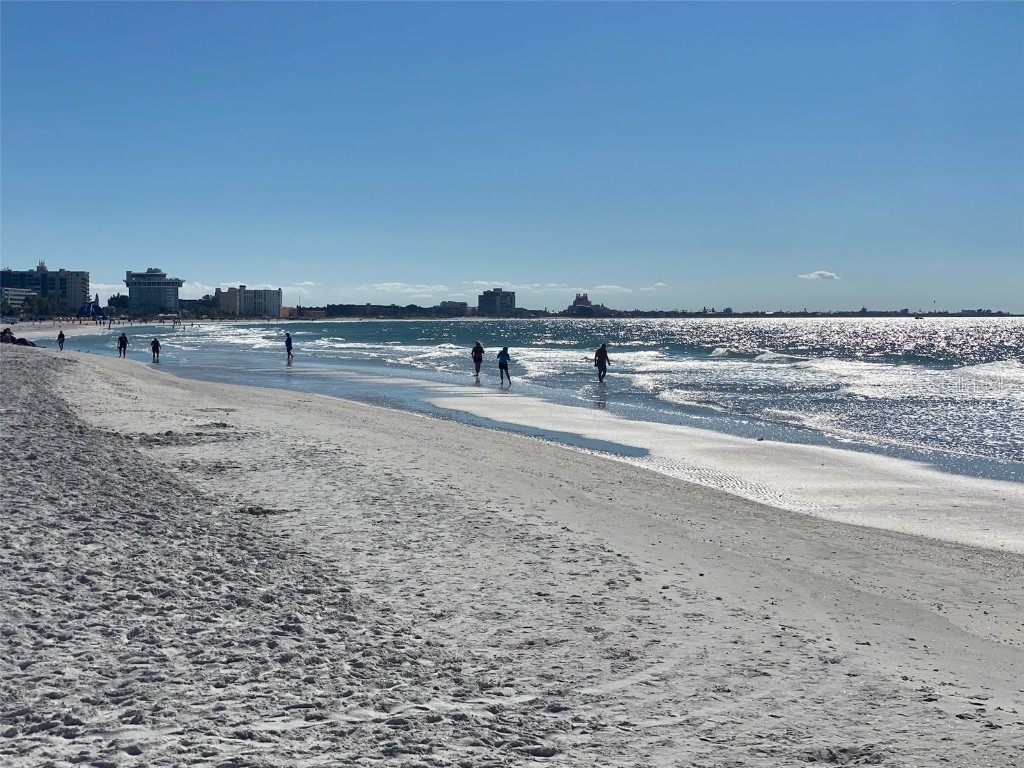 7003 Sunset Way #1 Saint Pete Beach FL 33706 TB8420095 image49