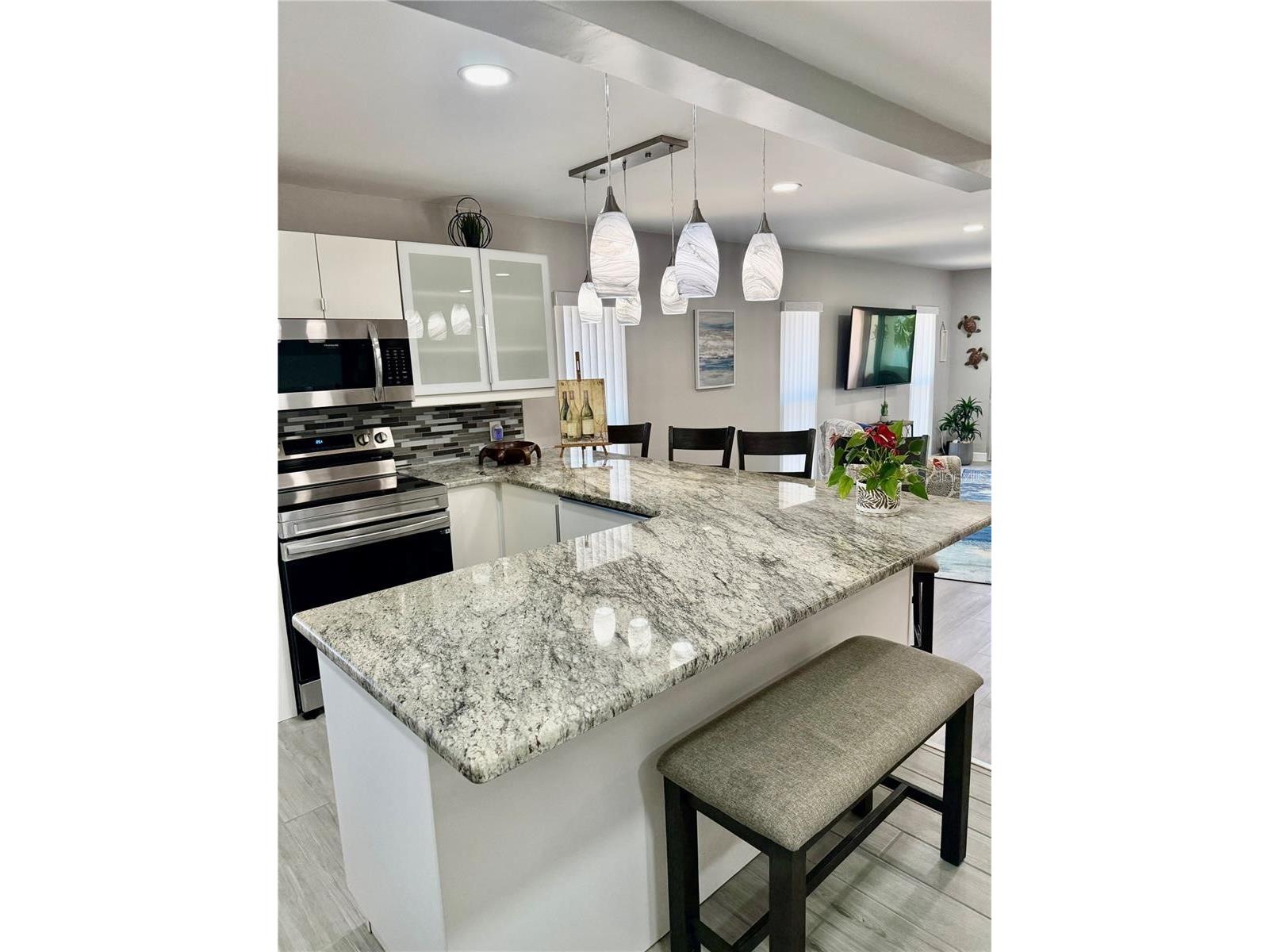 7003 Sunset Way #8 Saint Pete Beach FL 33706 TB8521082 image6
