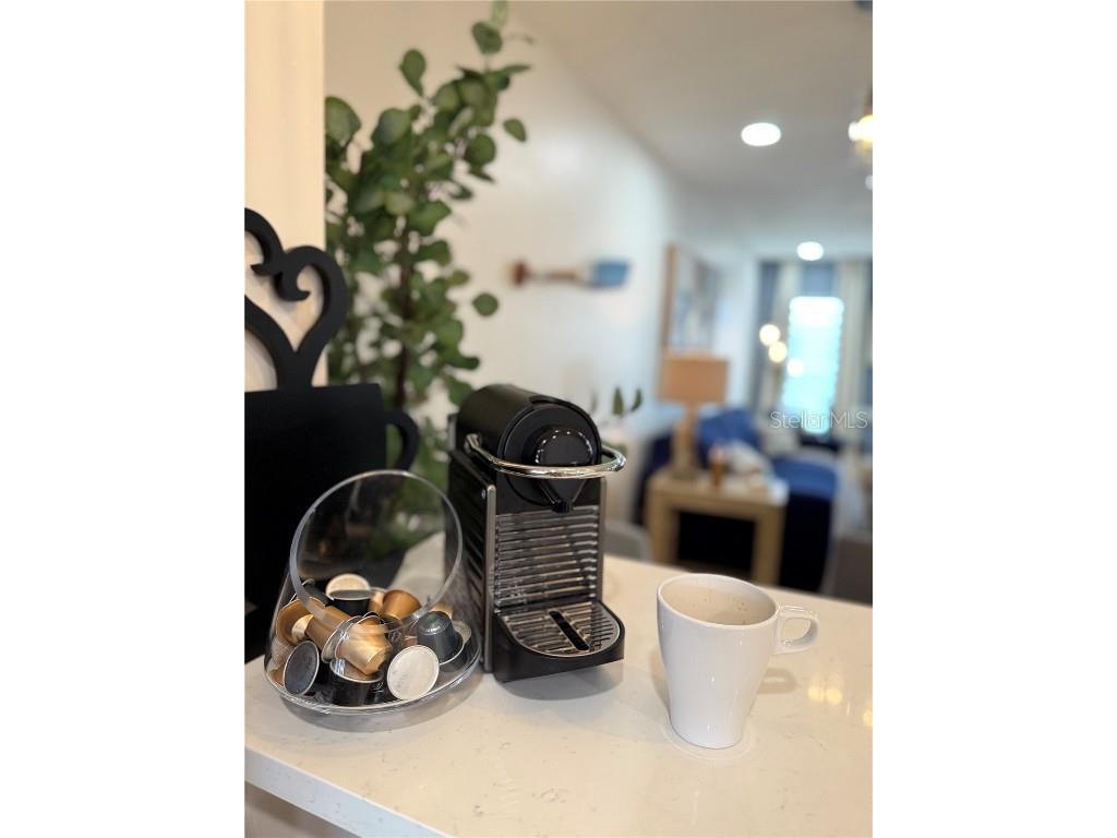 7003 Sunset Way #9 Saint Pete Beach FL 33706 TB8425255 image9