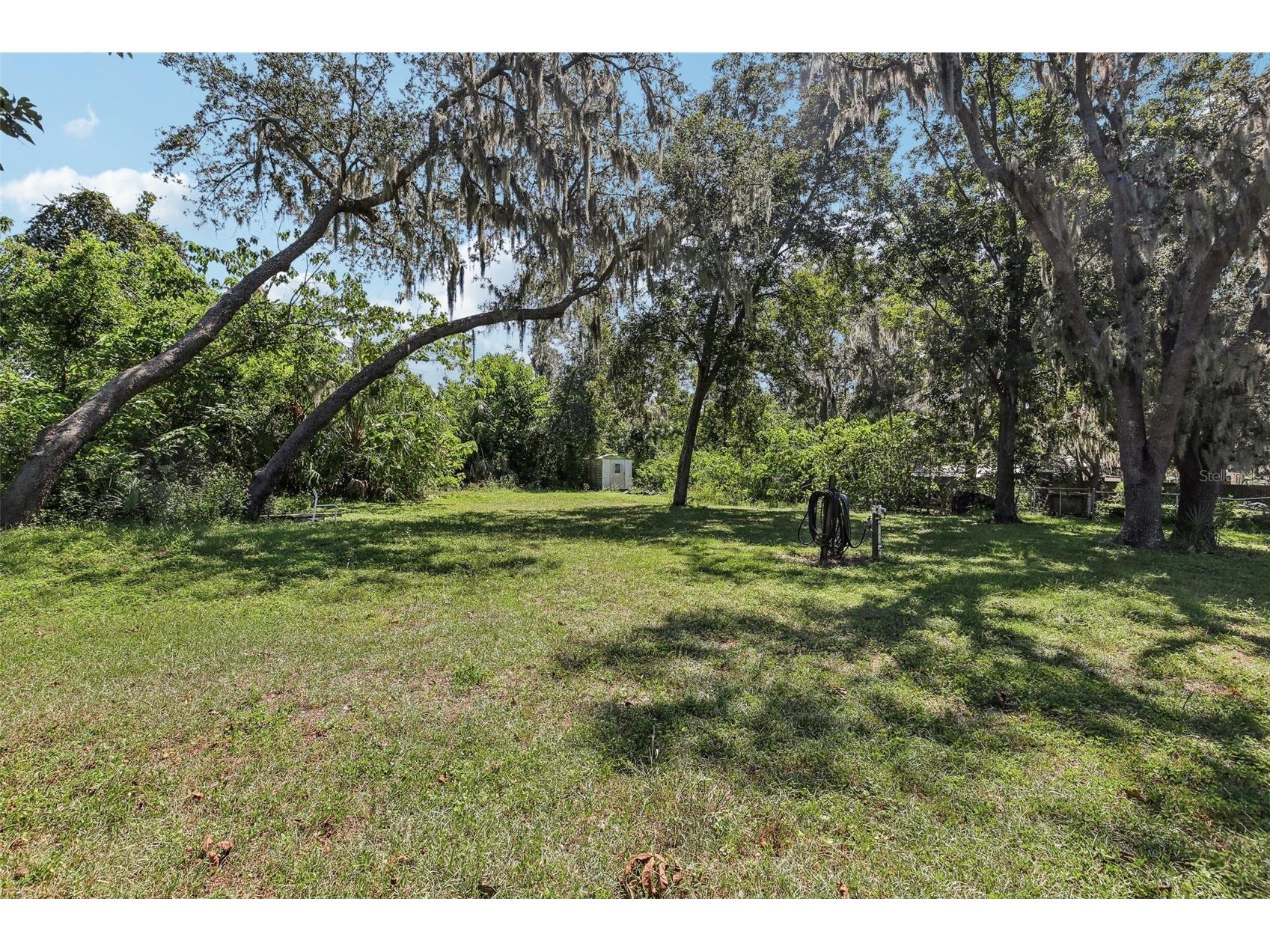 7004 Dusty Road Riverview FL 33569 TB8488356 image39