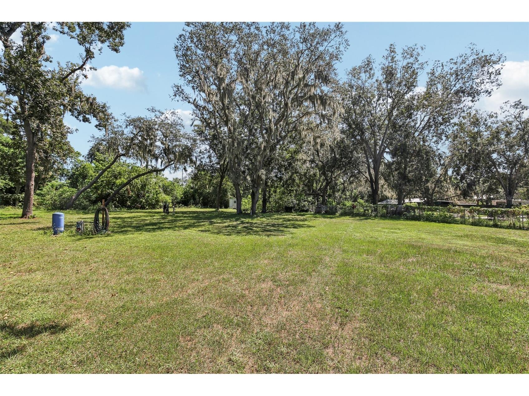 7004 Dusty Road Riverview FL 33569 TB8488356 image40