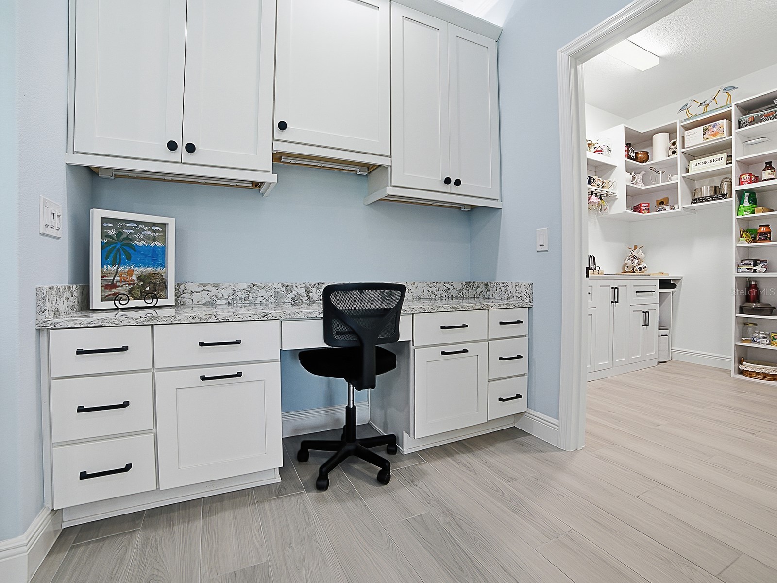7004 Emiline Terrace The Villages FL 34762 G5113102 image16