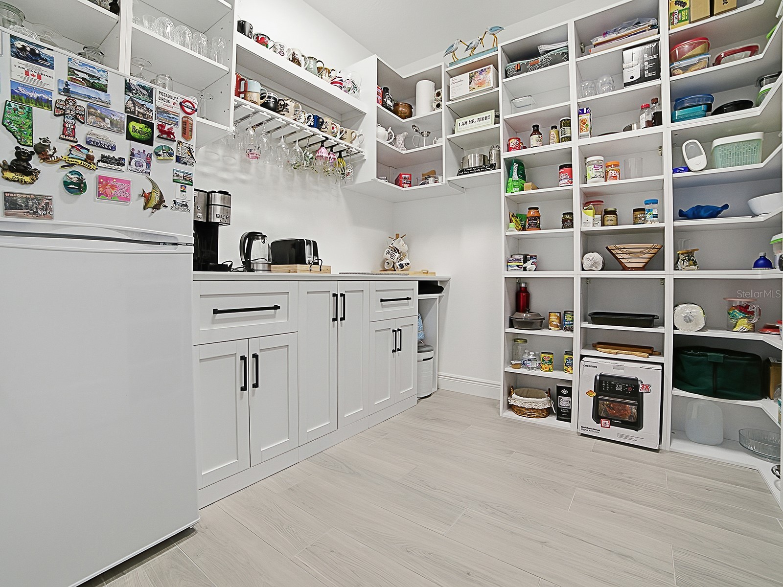 7004 Emiline Terrace The Villages FL 34762 G5113102 image17