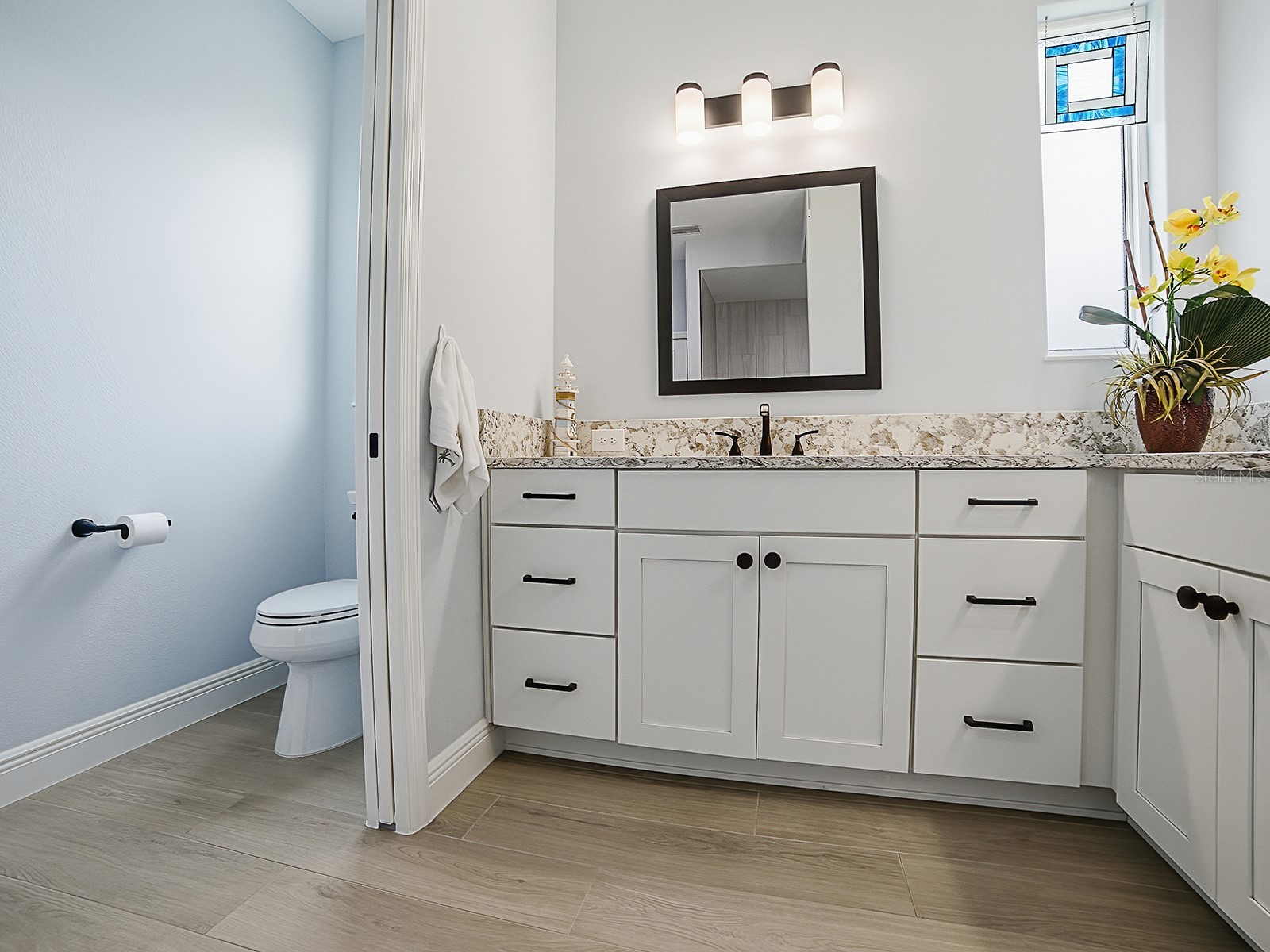 7004 Emiline Terrace The Villages FL 34762 G5113102 image24