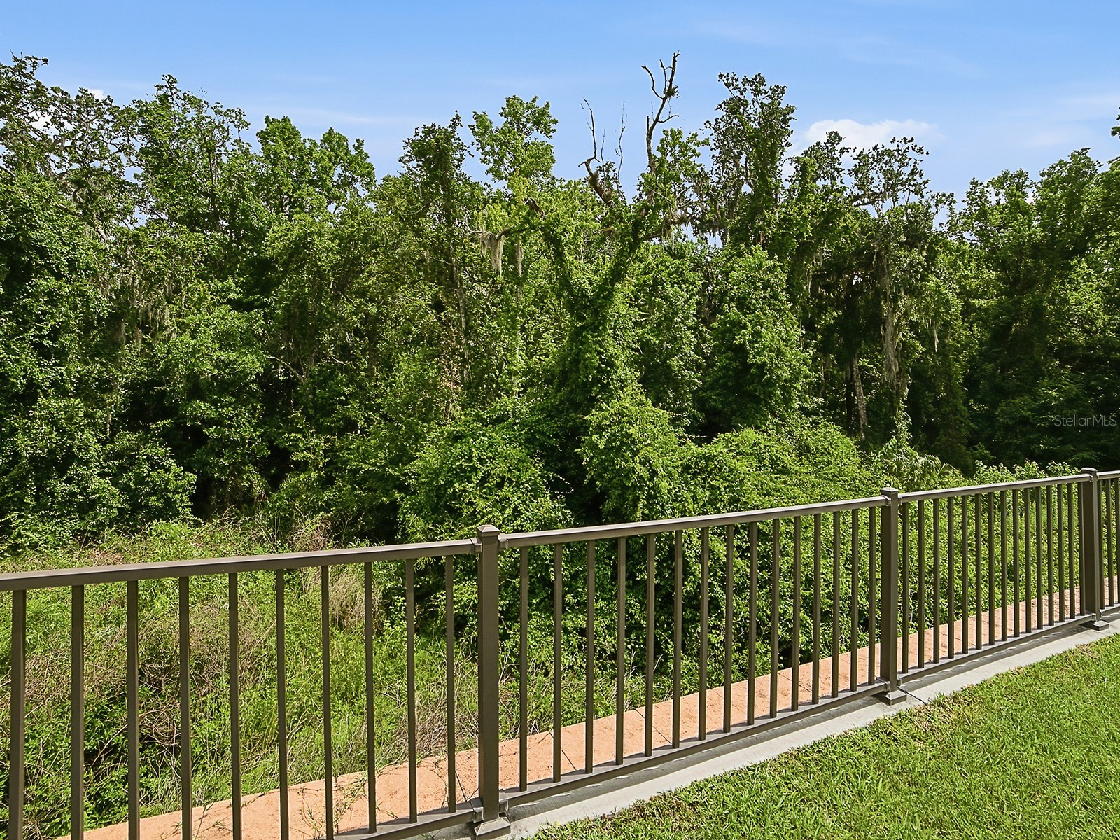 7004 Emiline Terrace The Villages FL 34762 G5113102 image62