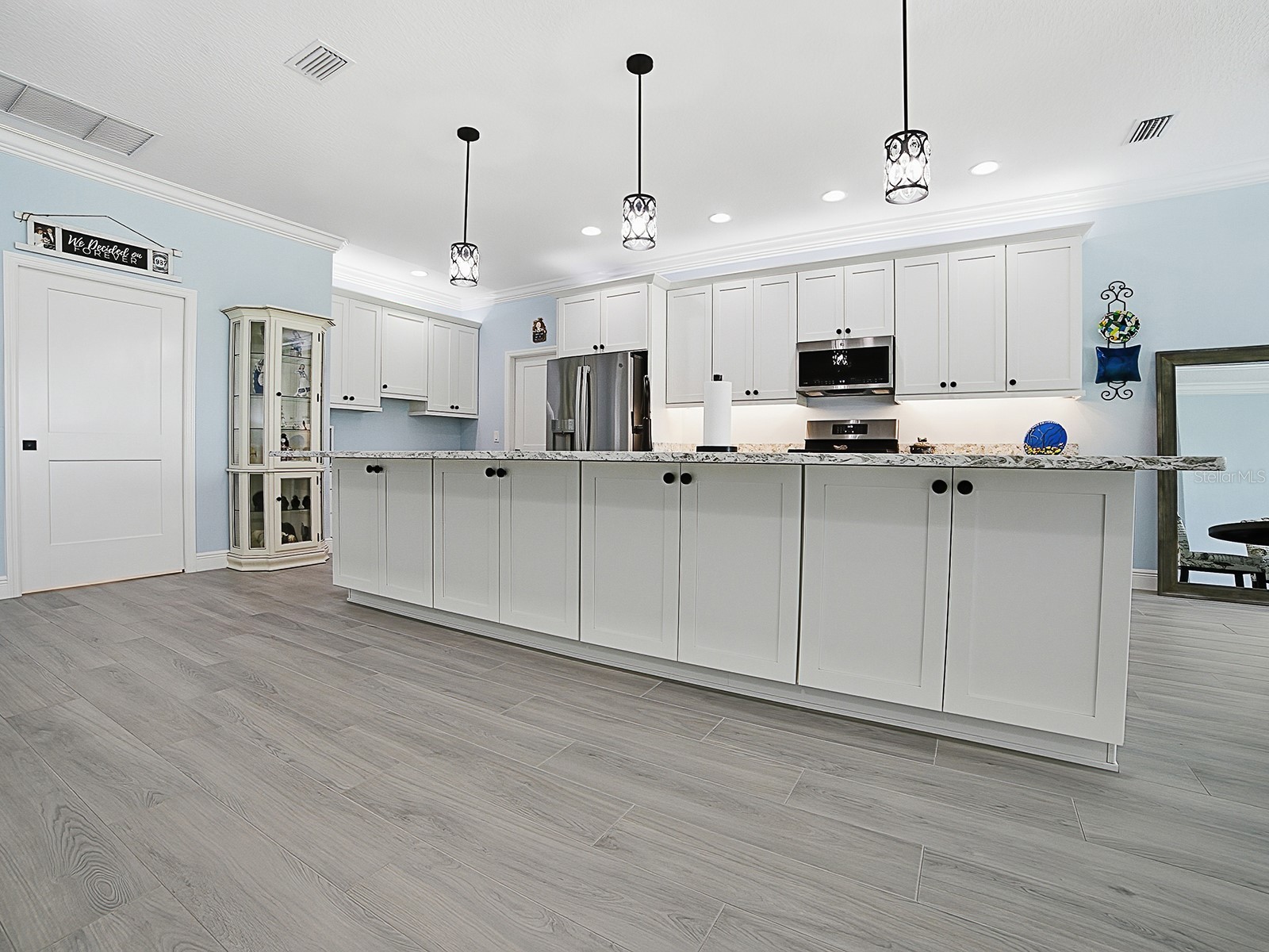 7004 Emiline Terrace The Villages FL 34762 G5113102 image9