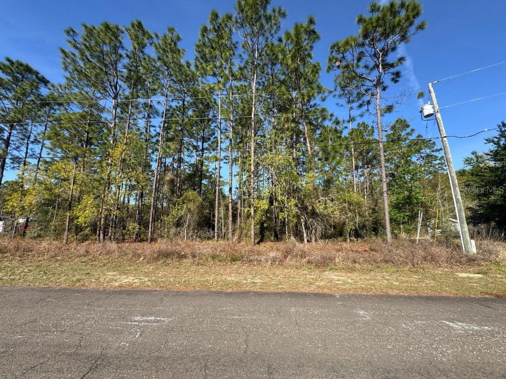 7004 N Lockwood Way Citrus Springs FL 34434 O6311217 image1