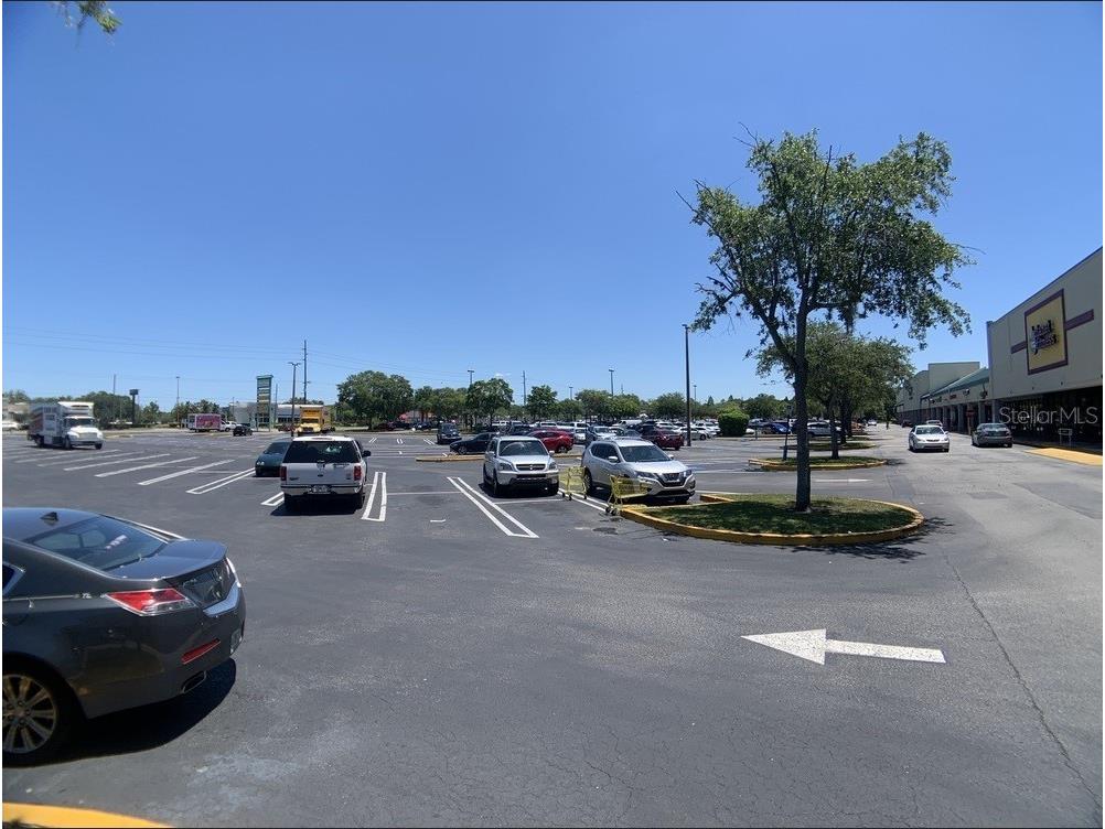 7004 W Waters Avenue #7334 Tampa FL 33634 TB8529605 image8