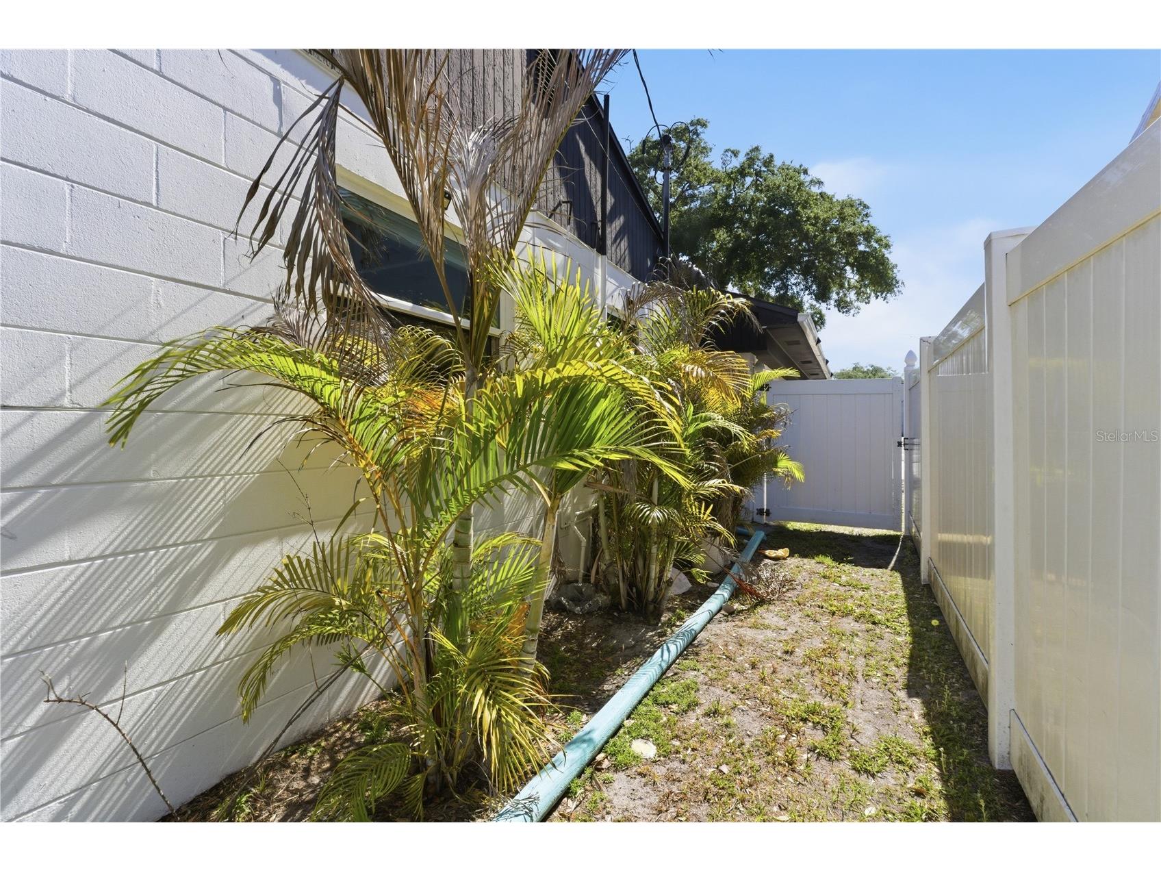 7005 N Duncan Avenue #A Tampa FL 33604 TB8503066 image22