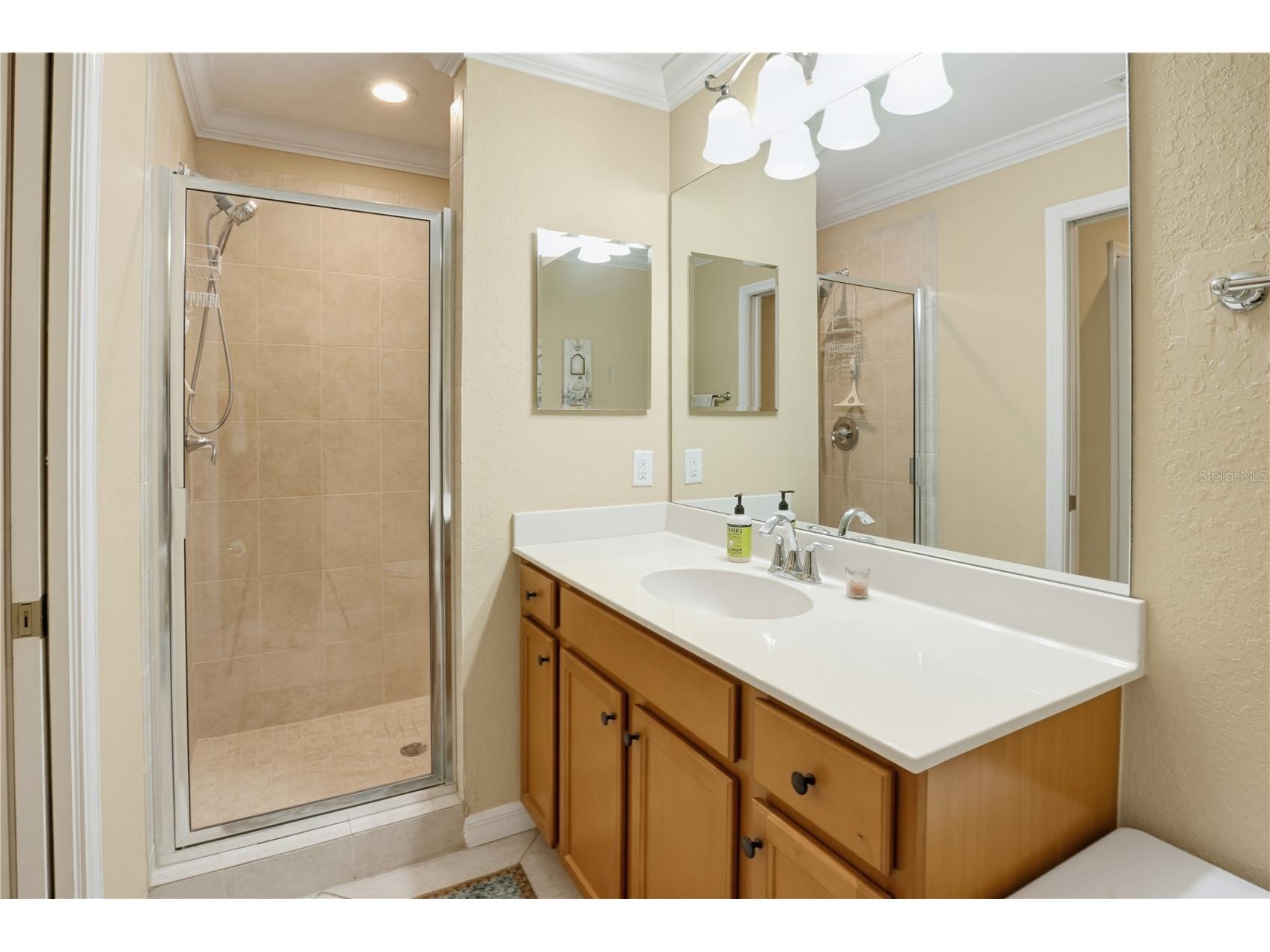 7005 River Hammock Drive #202 Bradenton FL 34212 A4697016 image20