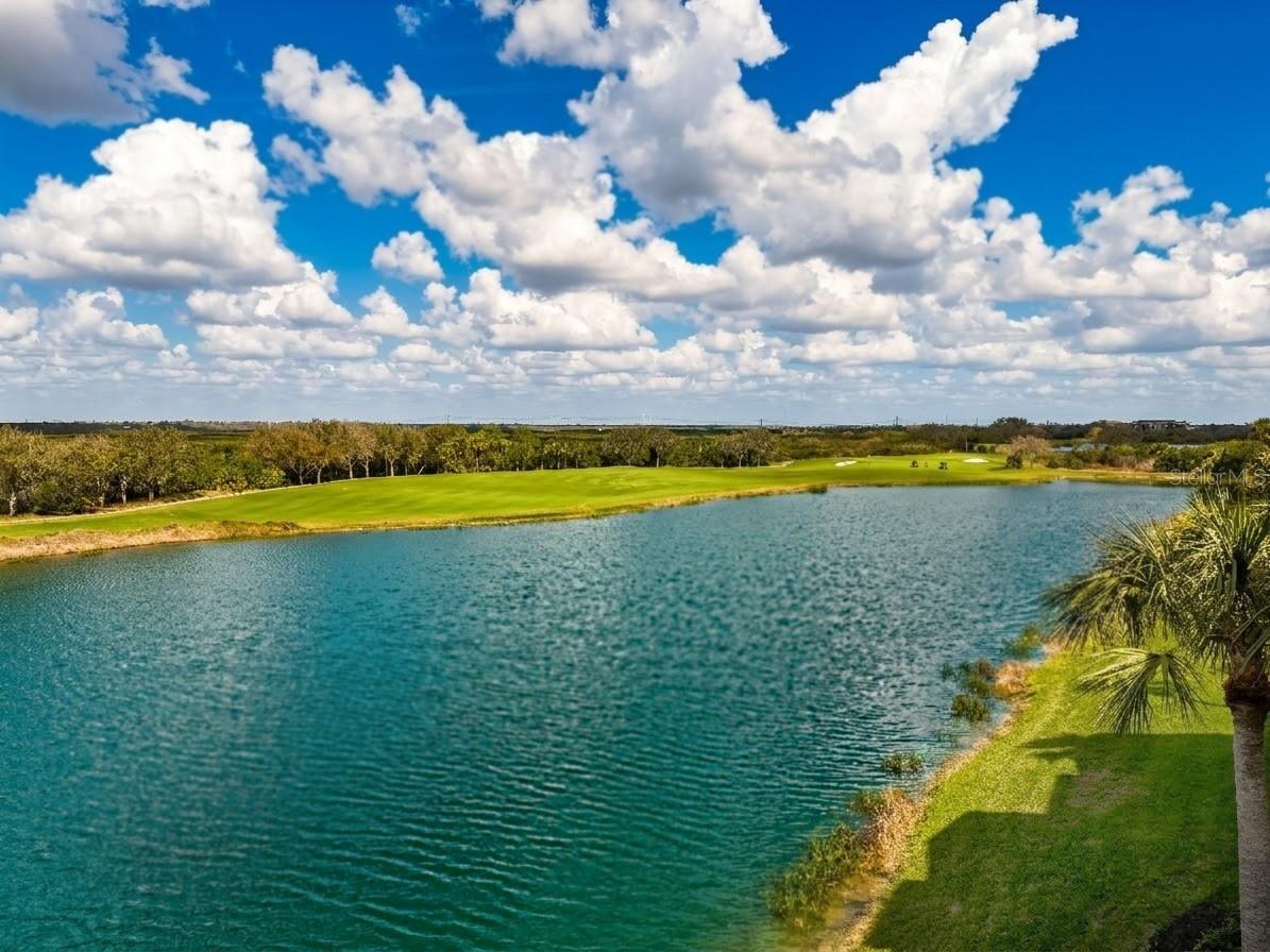 7005 River Hammock Drive #304 Bradenton FL 34212 A4685322 image20