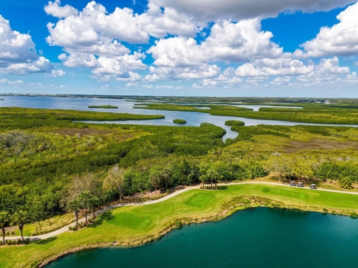 7005 River Hammock Drive #304 Bradenton FL 34212 A4685322 image21