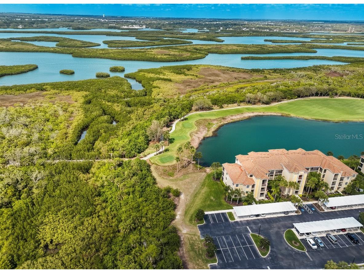 7005 River Hammock Drive #304 Bradenton FL 34212 A4685322 image22