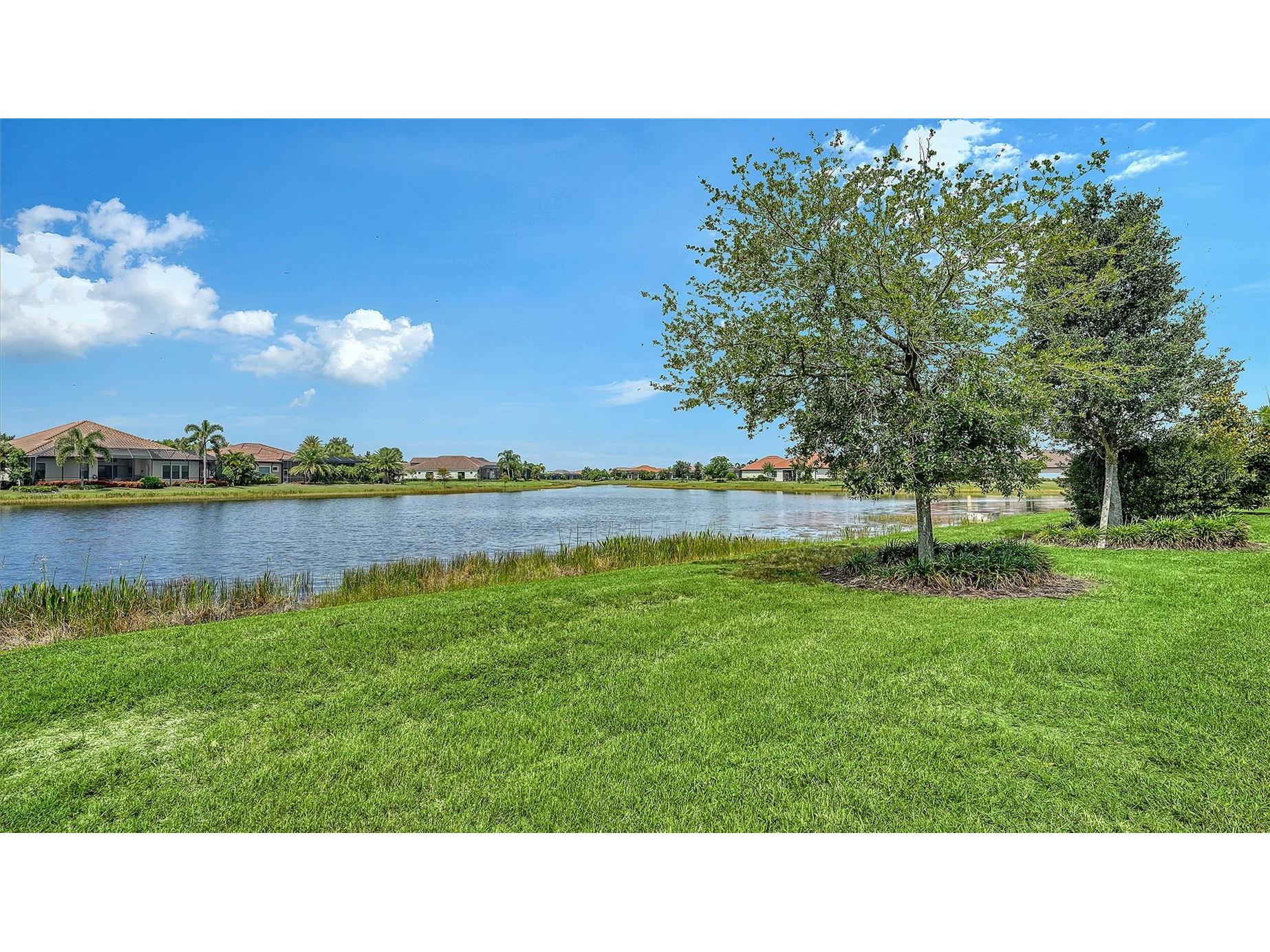 7005 Whittlebury Trail Lakewood Ranch FL 34202 A4700548 image51
