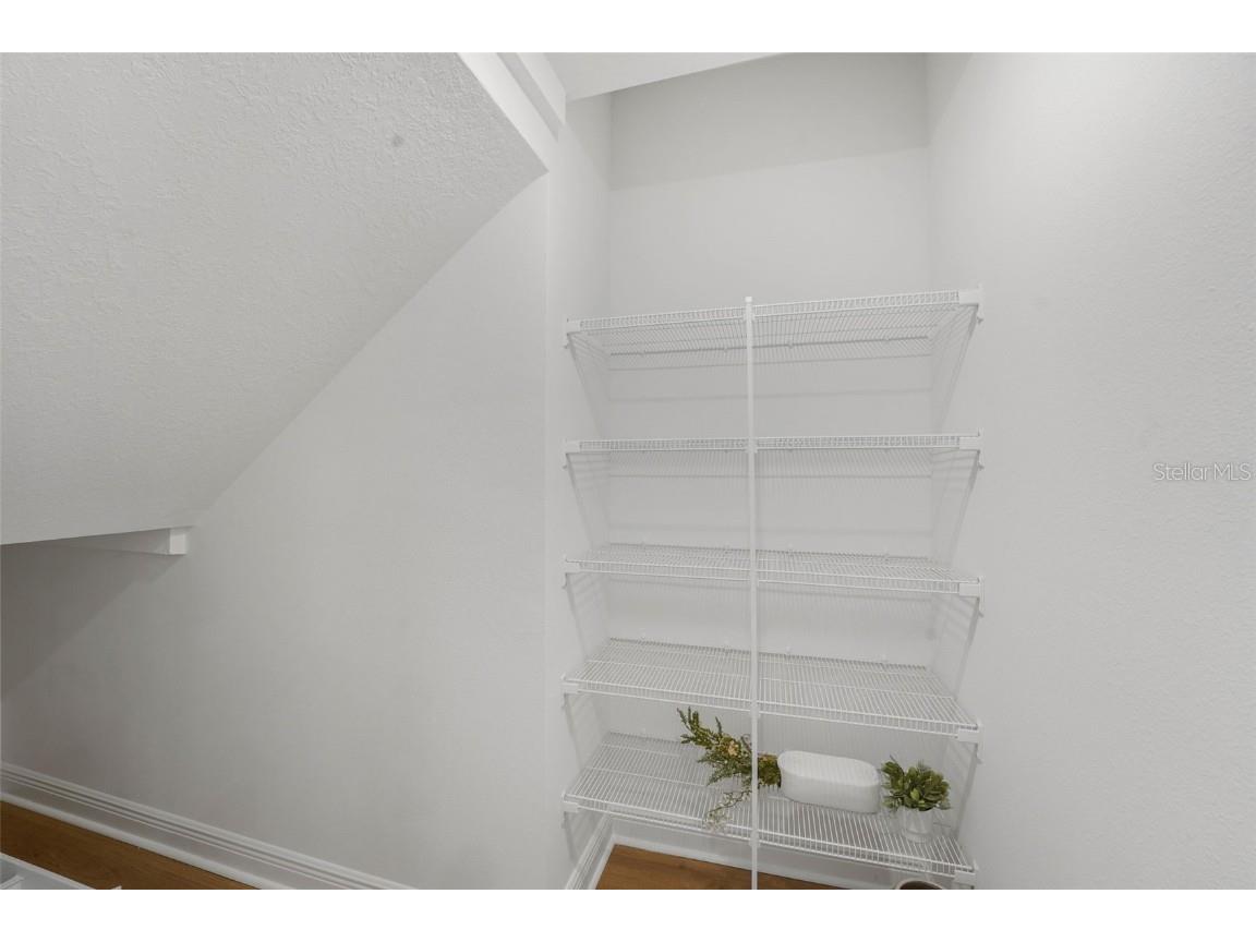 7007 Windy Palm Way Windermere FL 34786 G5103030 image18