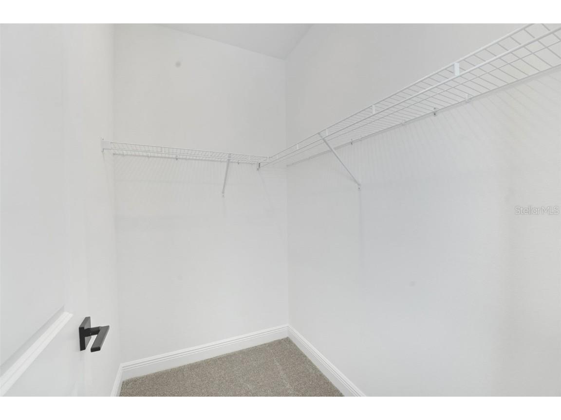 7007 Windy Palm Way Windermere FL 34786 G5103030 image38