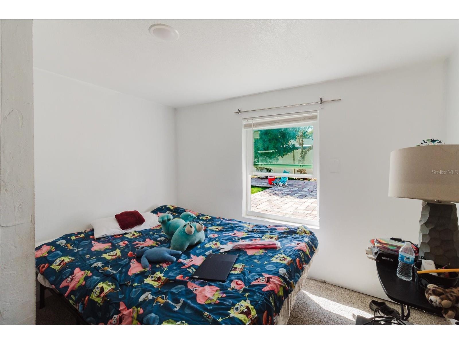 7008 Mintwood Court Tampa FL 33615 TB8476661 image53