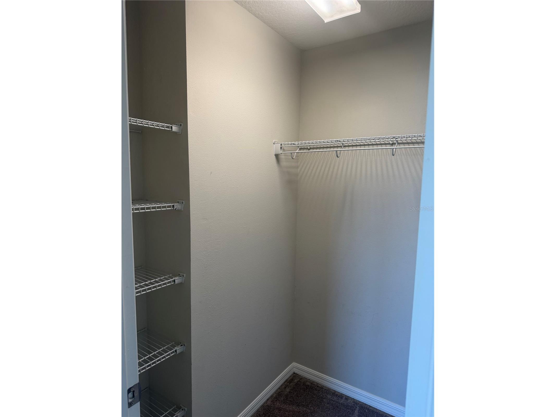 7009 Grand Elm Drive Riverview FL 33578 TB8504206 image12