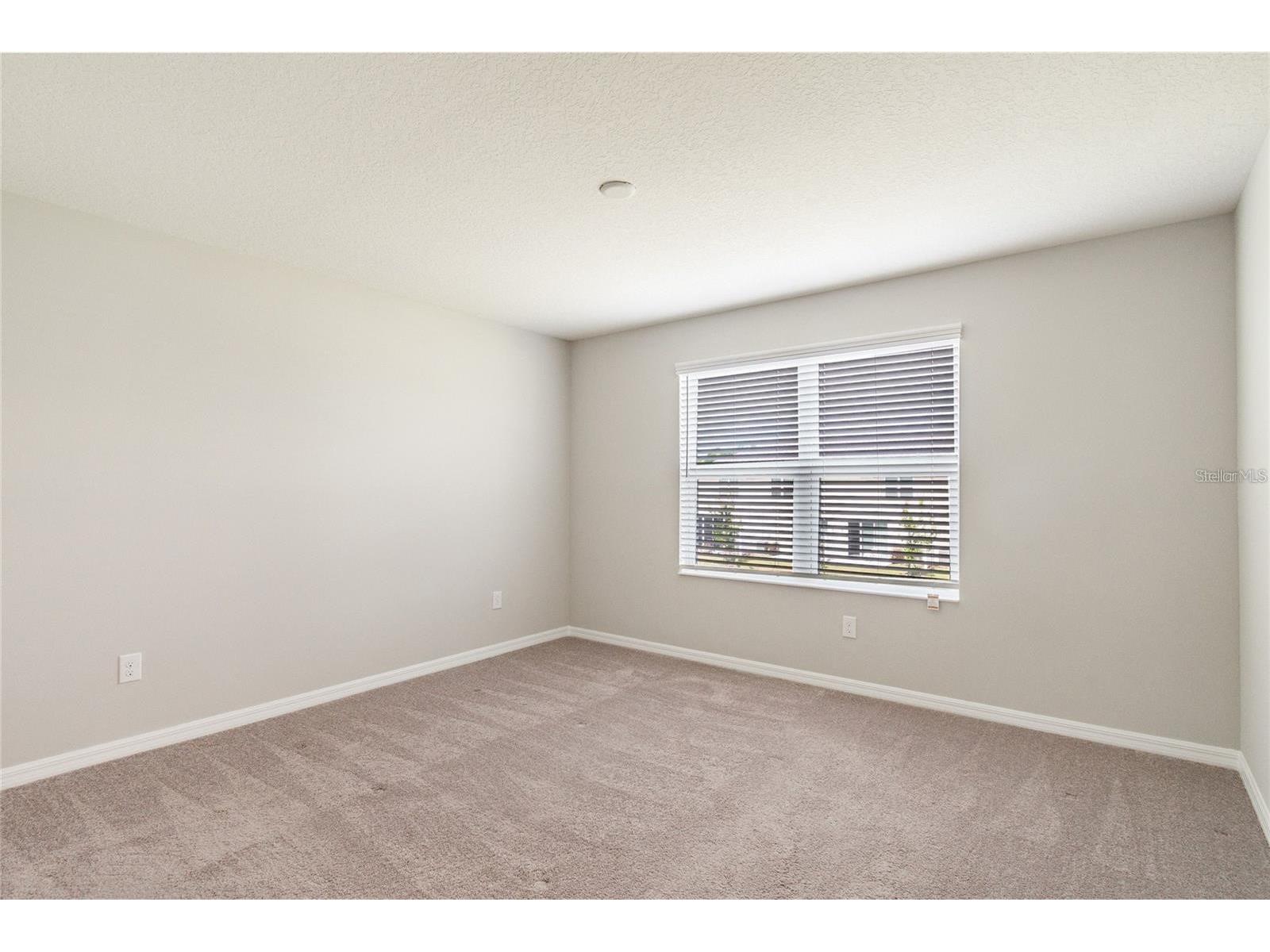 7009 Grand Elm Drive Riverview FL 33578 TB8504206 image24