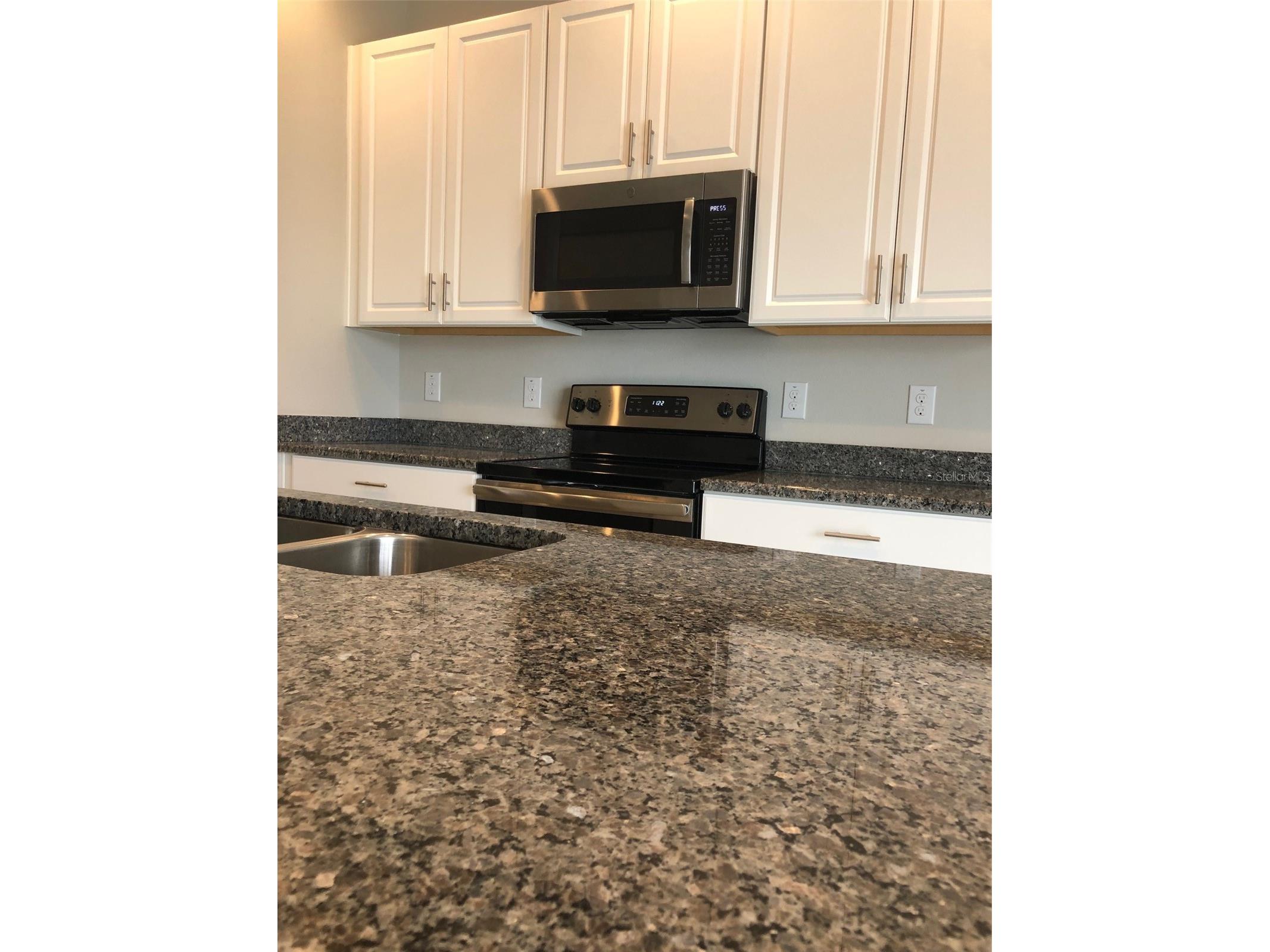 7009 Grand Elm Drive Riverview FL 33578 TB8504206 image8