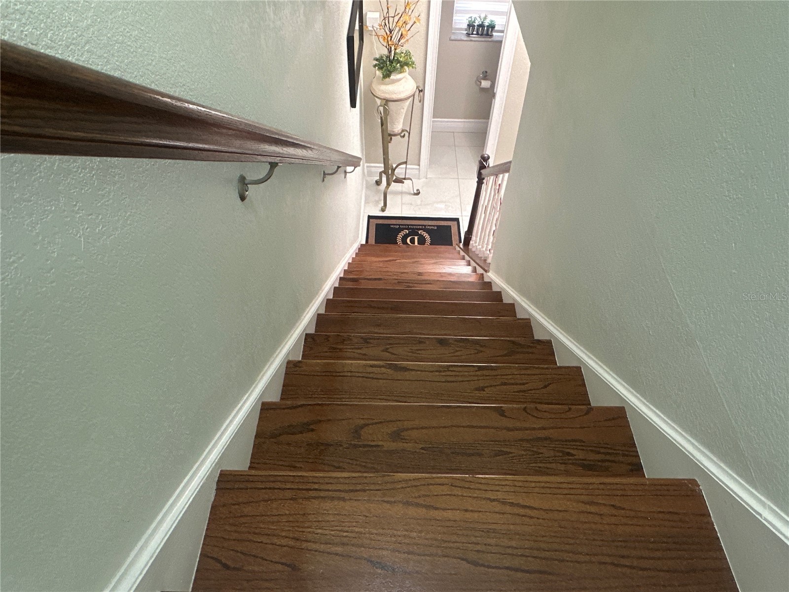 7009 Salinas Court Tampa FL 33634 TB8469059 image16