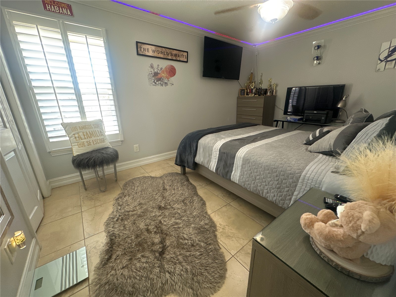 7009 Salinas Court Tampa FL 33634 TB8469059 image21