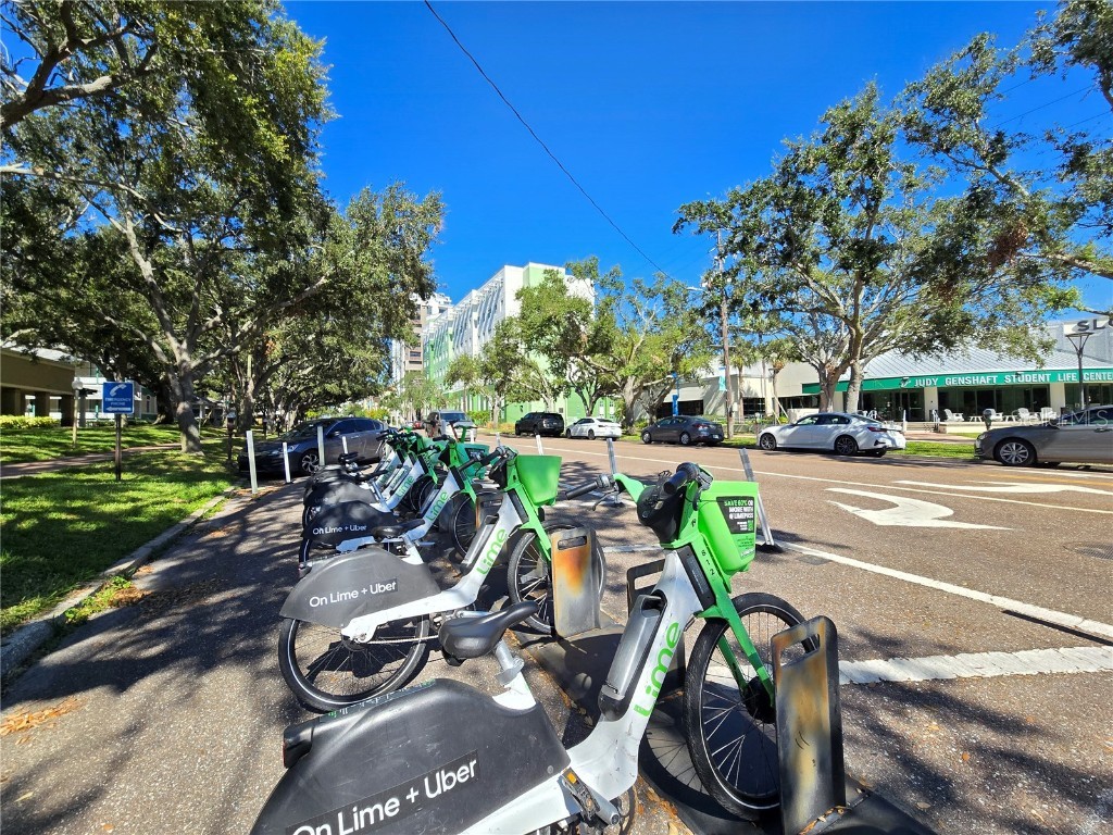 701 42nd Avenue S Saint Petersburg FL 33705 TB8446011 image47