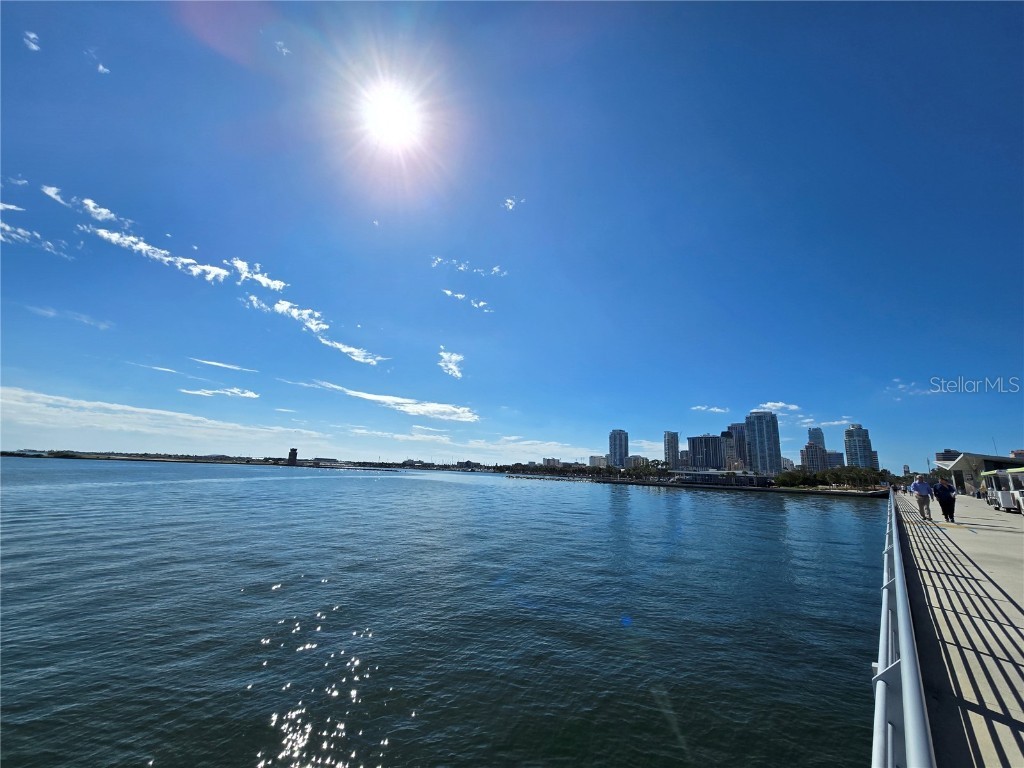 701 42nd Avenue S Saint Petersburg FL 33705 TB8446011 image59