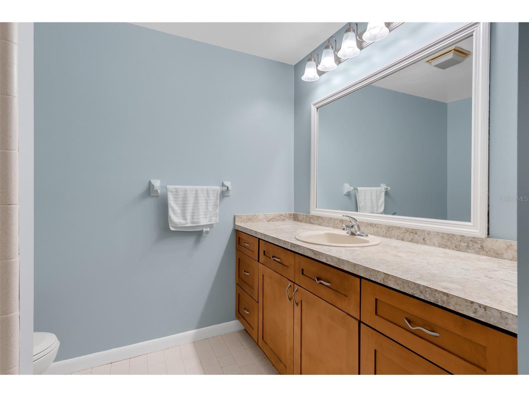 701 Clusterwood Drive Yalaha FL 34797 - LAKE HARRIS G5085454 image19