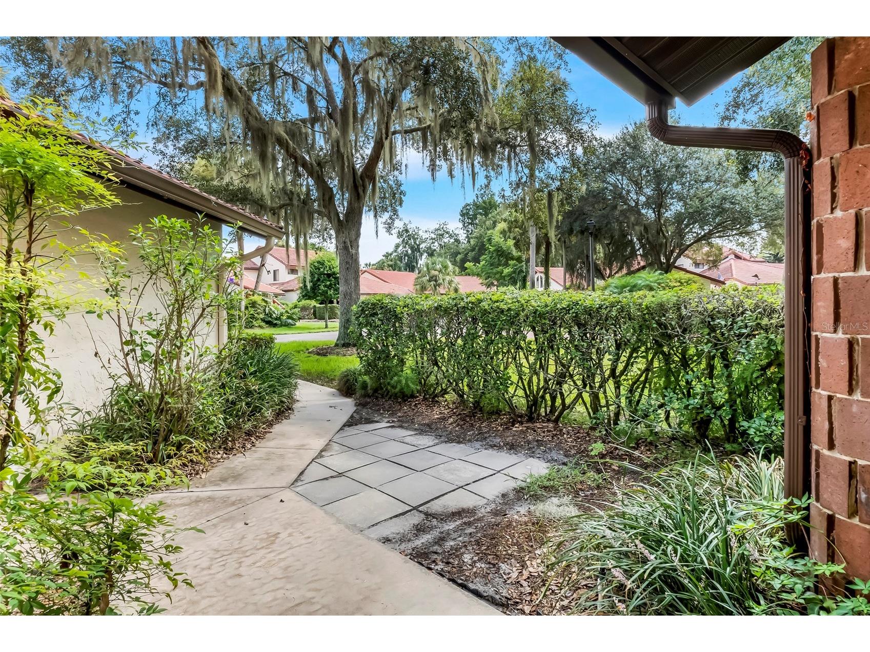 701 Clusterwood Drive Yalaha FL 34797 - LAKE HARRIS G5085454 image5