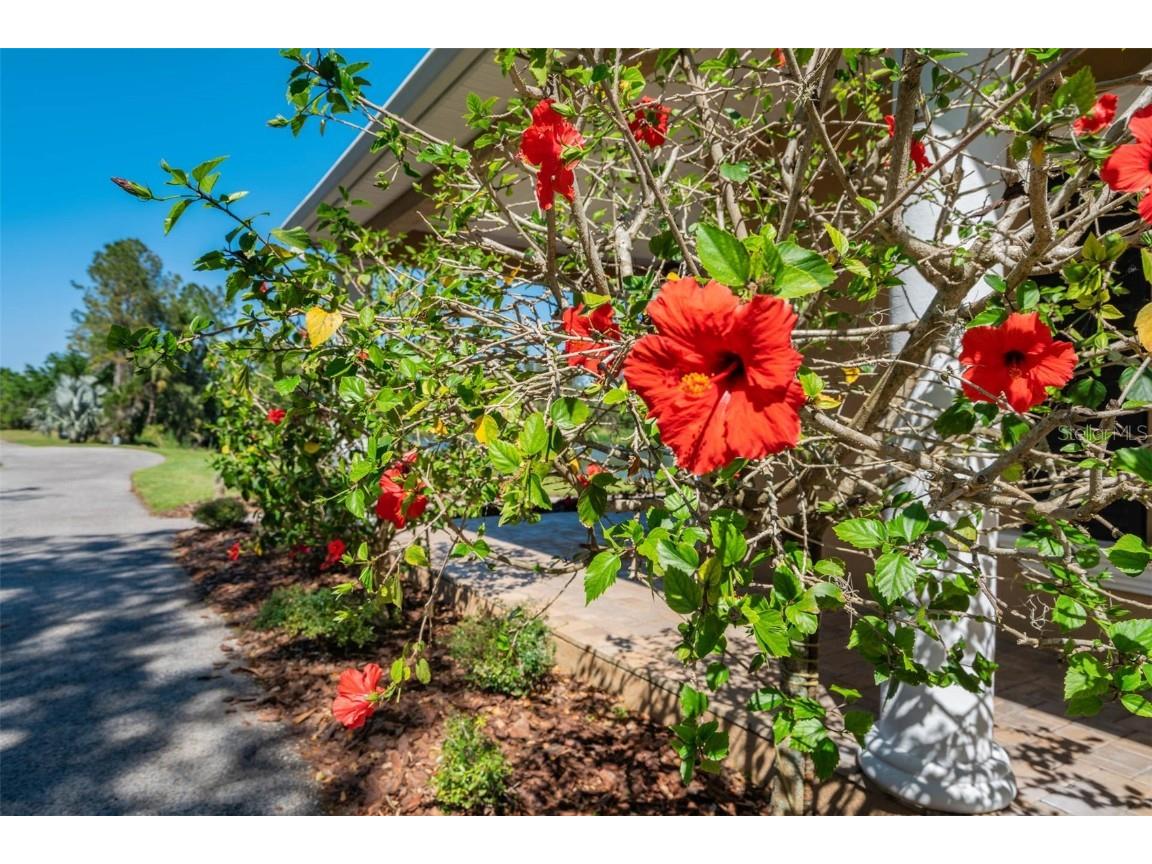 701 E 60 Highway Plant City FL 33567 L4952200 image12