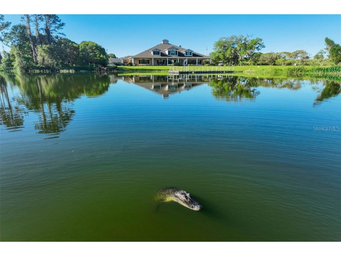 701 E 60 Highway Plant City FL 33567 L4952200 image71