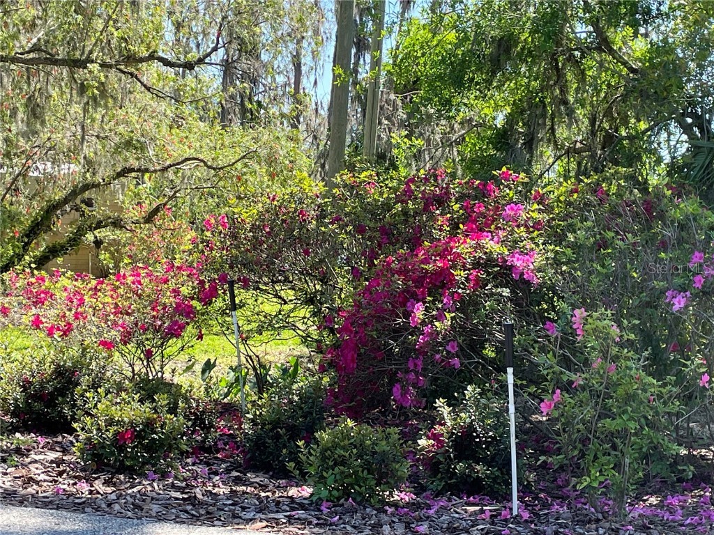 701 E 60 Highway Plant City FL 33567 L4952200 image78