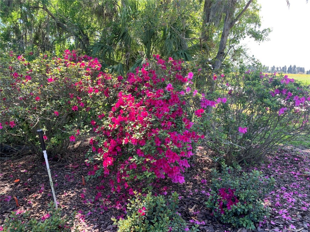 701 E 60 Highway Plant City FL 33567 L4952200 image79