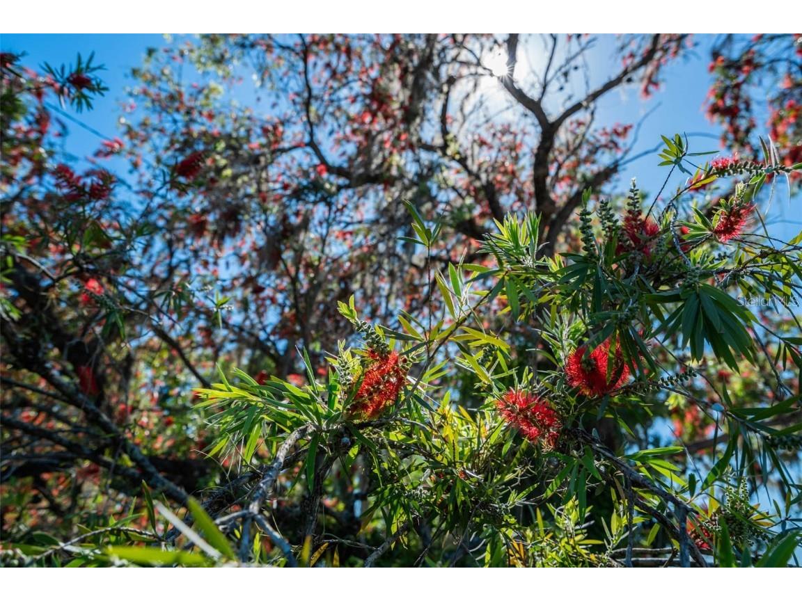 701 E 60 Highway Plant City FL 33567 L4952200 image81