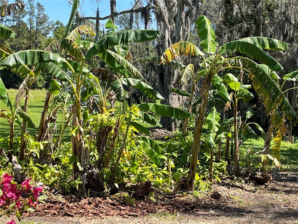 701 E 60 Highway Plant City FL 33567 L4952200 image86